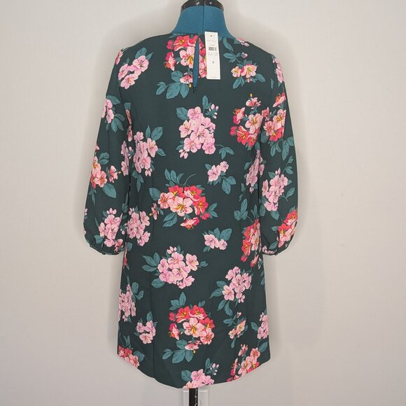 Ann Taylor Shift Dress, Size 0 (NWT) - Picture 3 of 5